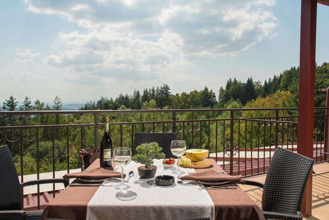 Hotel Villa Magus Kladnitsa 外观 照片